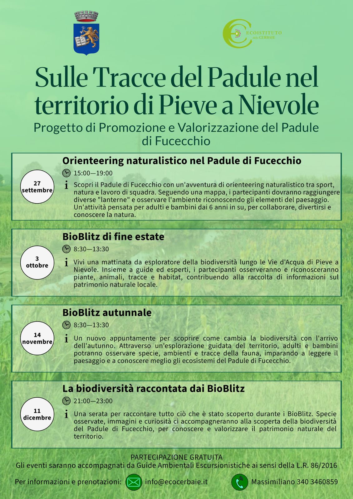 padule