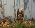 Proroga periodo a rischio incendi fino al 15 settembre 2024