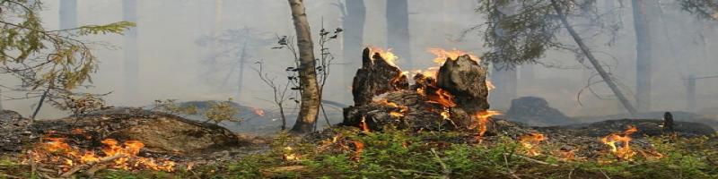 Proroga periodo a rischio incendi fino al 15 settembre 2024