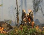 Proroga periodo a rischio incendi fino al 15 settembre 2024