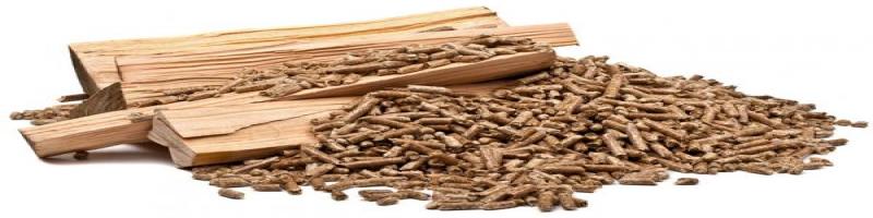 Indagine esplorativa relativa allâ€™utilizzo di biomassa (legna, pellet e simili) come forma di riscaldamento