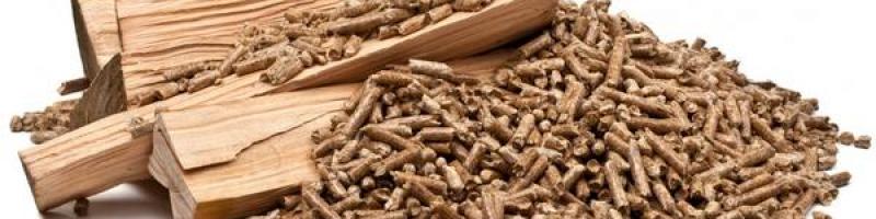 Indagine esplorativa relativa all’utilizzo di biomassa (legna, pellet e simili) come forma di riscaldamento